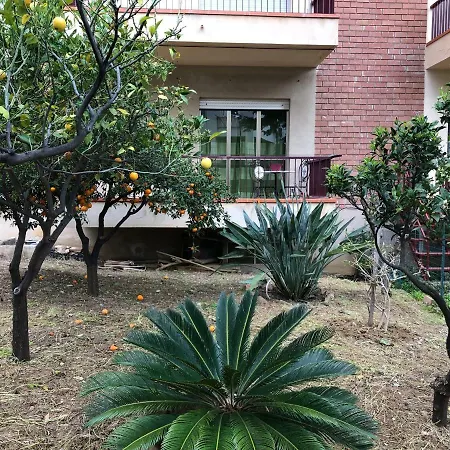 Casa vacanze « Il Profumo Degli Agrumi Di Sicilia »
